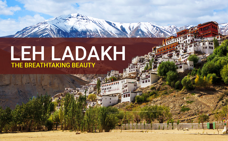 leh ladakh tour packages heena travels
